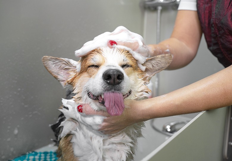 Bath and Nails