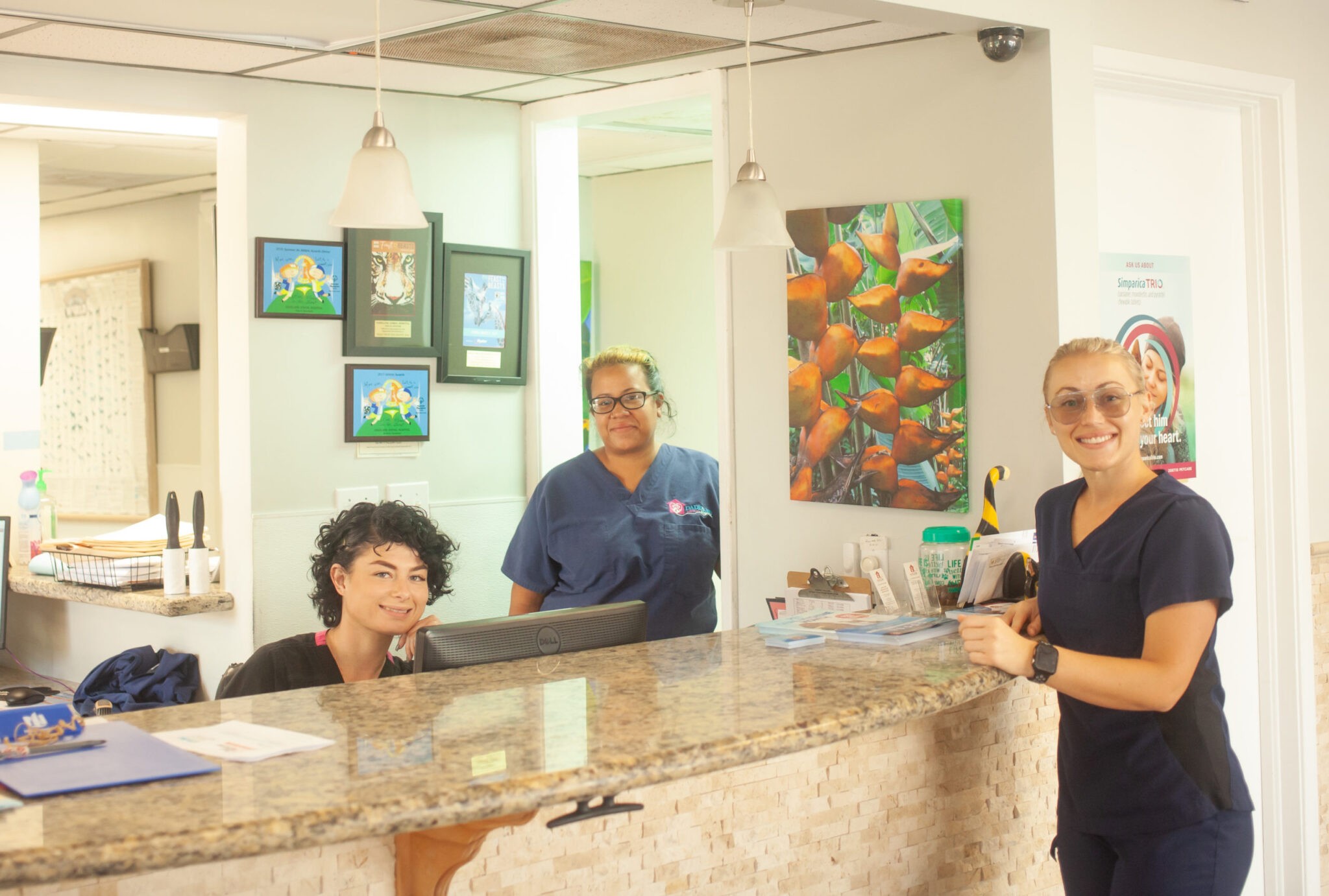 Meet the Staff Dadeland Animal Hospital of Miami Veterinary Care