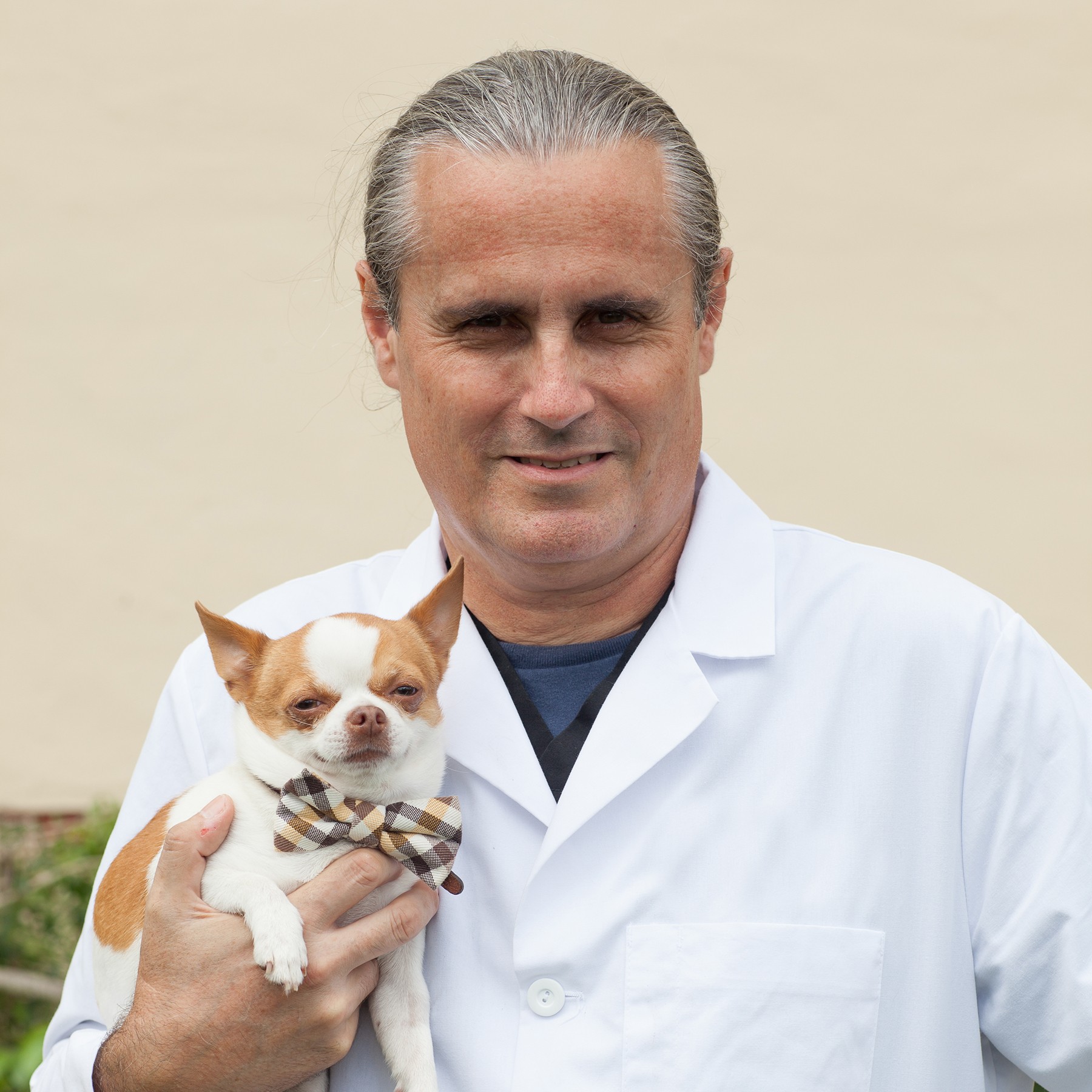 Veterinarian | Dadeland Animal Hospital | Drs. Falco, Maclvor, & Davila